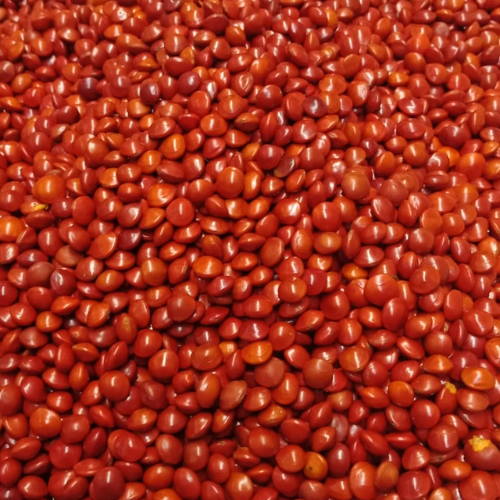 Manjadi